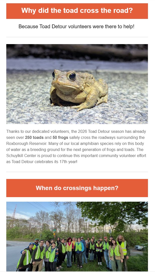 Toad-Detour-2026