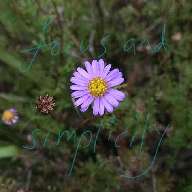 What Makes Mission Statements Powerful?